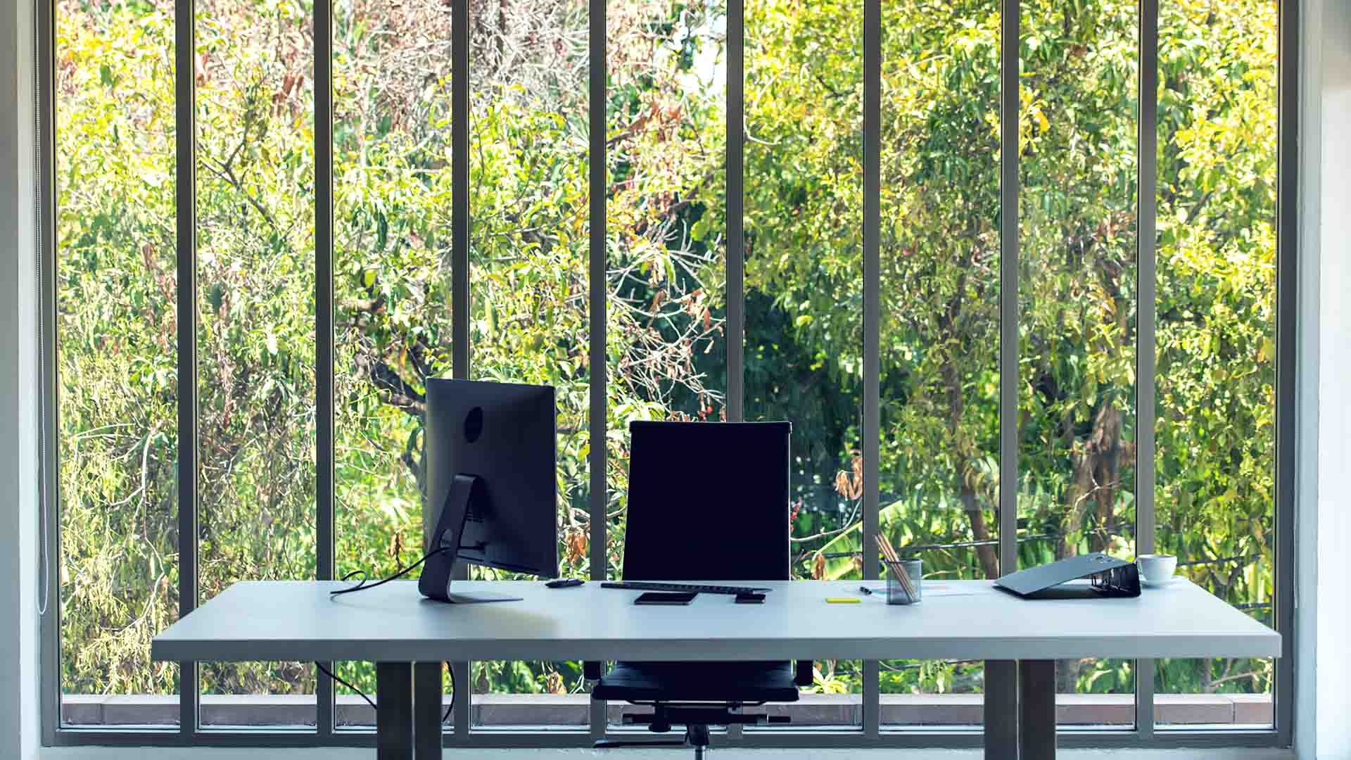 An empty office with a garden outside the window.
